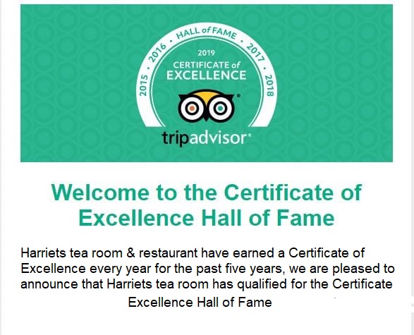 trip-advisor_2019-announce-certificate-excellence 1